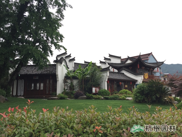 彩运网(中国游)官方网站