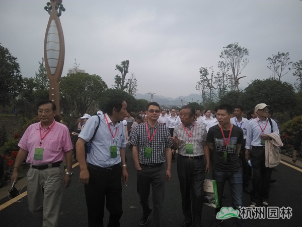 彩运网(中国游)官方网站