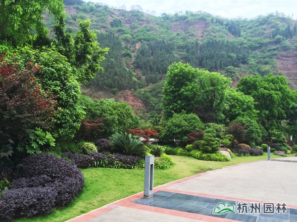 彩运网(中国游)官方网站