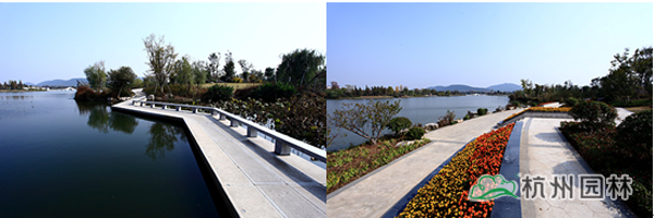 彩运网(中国游)官方网站