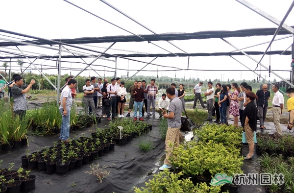 彩运网(中国游)官方网站