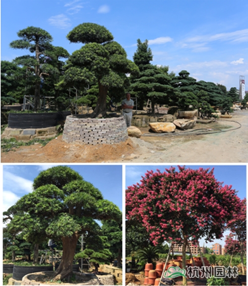 彩运网(中国游)官方网站