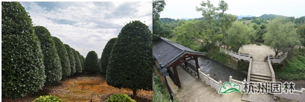 彩运网(中国游)官方网站