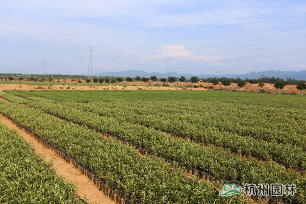 彩运网(中国游)官方网站