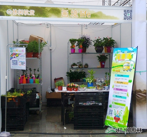 彩运网(中国游)官方网站