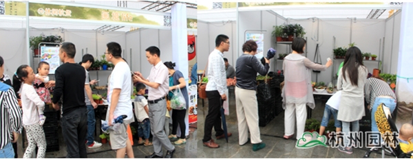 彩运网(中国游)官方网站