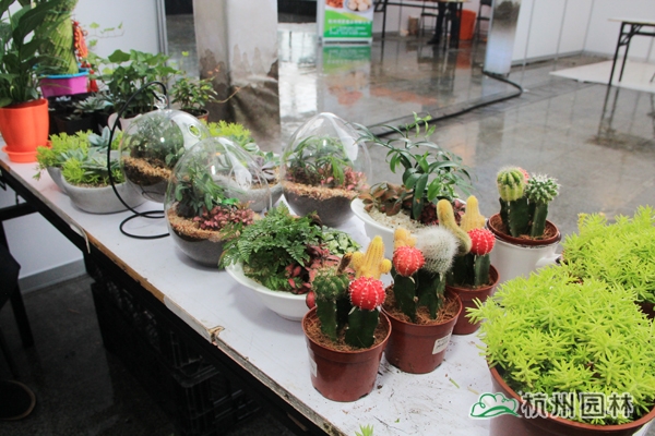 彩运网(中国游)官方网站