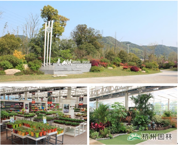 彩运网(中国游)官方网站