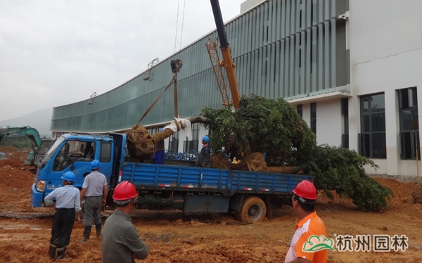 彩运网(中国游)官方网站