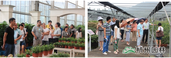 彩运网(中国游)官方网站