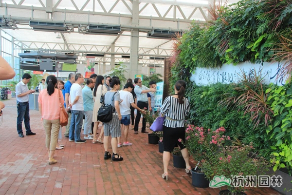 彩运网(中国游)官方网站