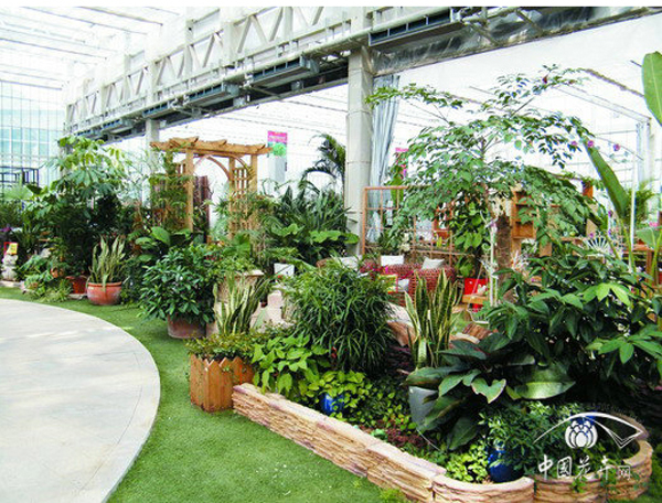 彩运网(中国游)官方网站