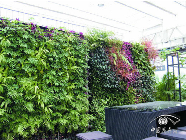 彩运网(中国游)官方网站