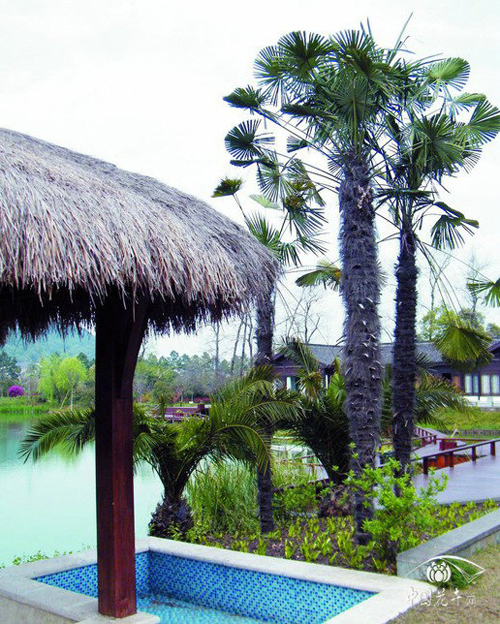 彩运网(中国游)官方网站