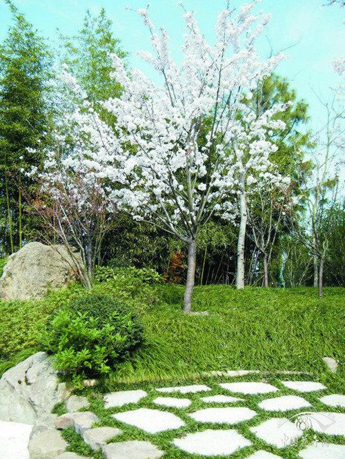 彩运网(中国游)官方网站