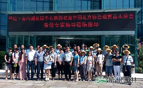 彩运网(中国游)官方网站