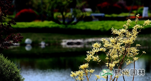 彩运网(中国游)官方网站