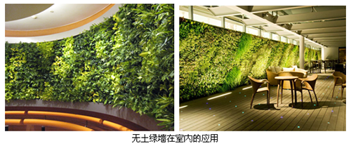 彩运网(中国游)官方网站