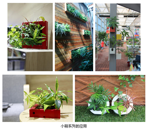 彩运网(中国游)官方网站