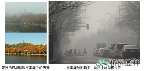 彩运网(中国游)官方网站