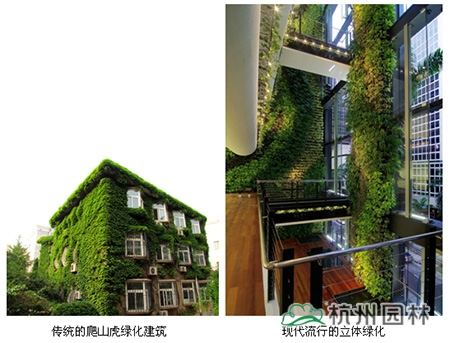 彩运网(中国游)官方网站