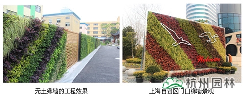 彩运网(中国游)官方网站