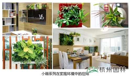 彩运网(中国游)官方网站