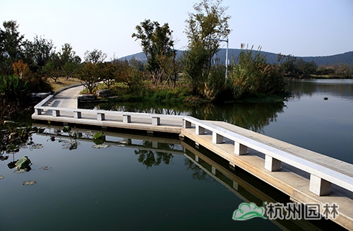 彩运网(中国游)官方网站