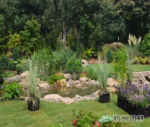 彩运网(中国游)官方网站