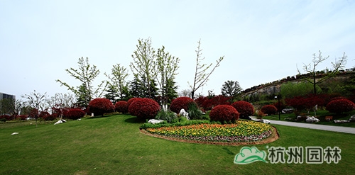 彩运网(中国游)官方网站