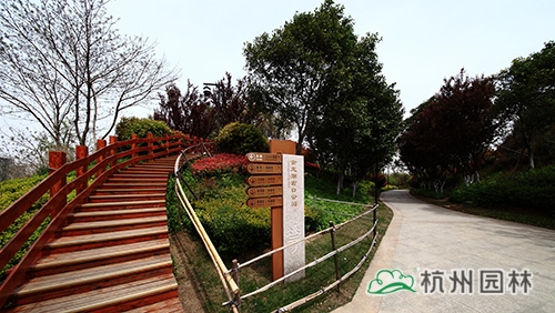 彩运网(中国游)官方网站