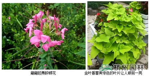 彩运网(中国游)官方网站