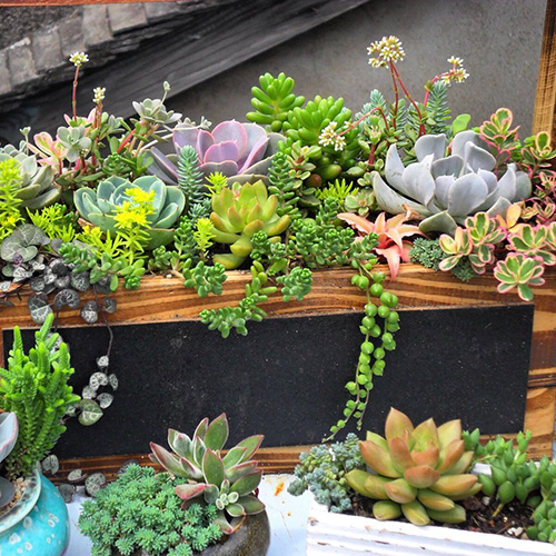 彩运网(中国游)官方网站