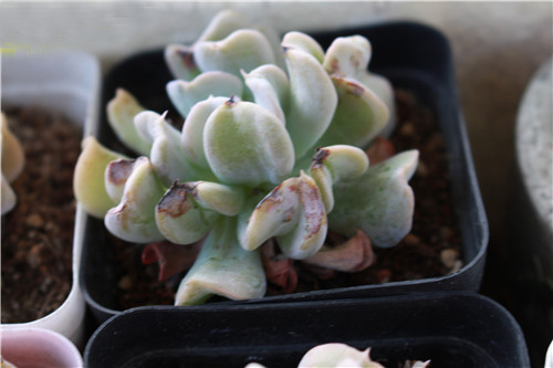 彩运网(中国游)官方网站