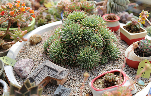 彩运网(中国游)官方网站