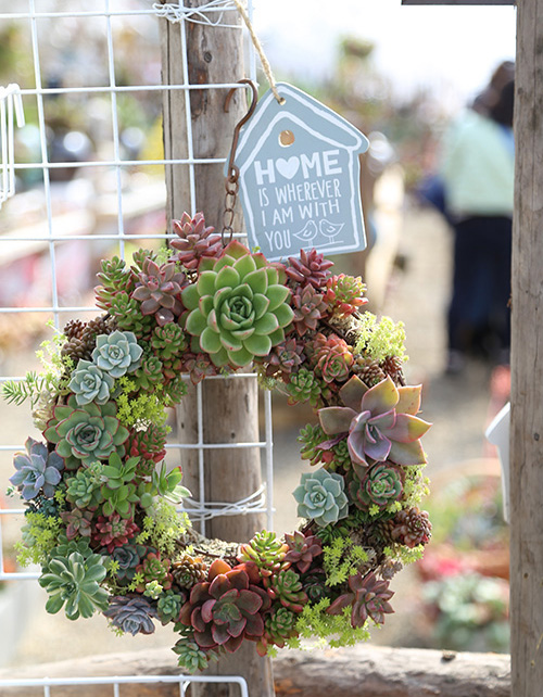 彩运网(中国游)官方网站