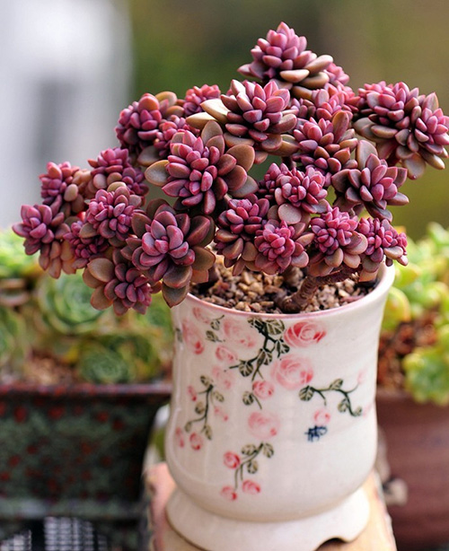 彩运网(中国游)官方网站