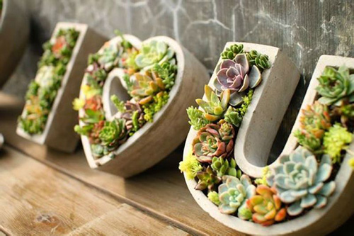 彩运网(中国游)官方网站