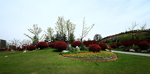 彩运网(中国游)官方网站