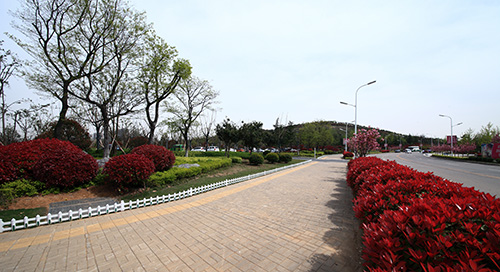 彩运网(中国游)官方网站