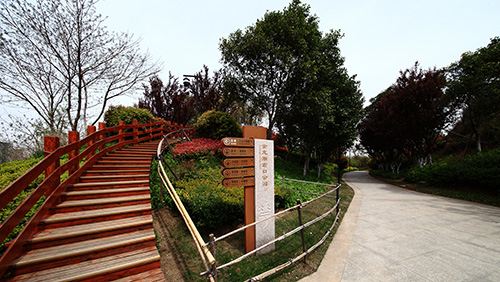 彩运网(中国游)官方网站