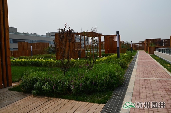 彩运网(中国游)官方网站