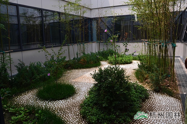 彩运网(中国游)官方网站