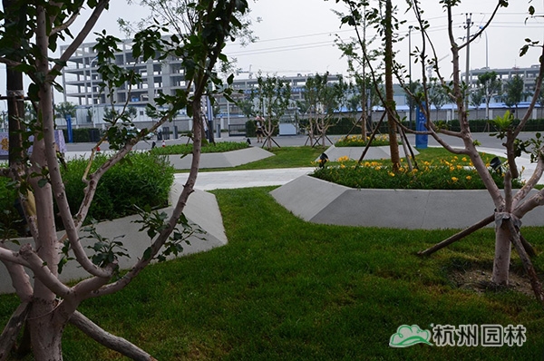 彩运网(中国游)官方网站