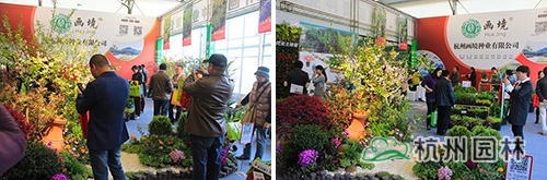 彩运网(中国游)官方网站