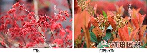 彩运网(中国游)官方网站