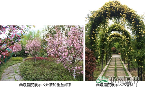 彩运网(中国游)官方网站