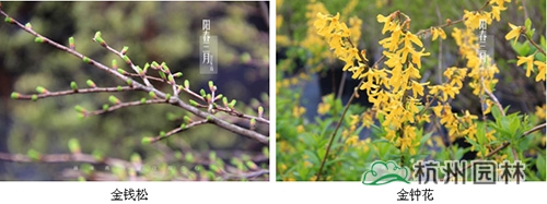 彩运网(中国游)官方网站