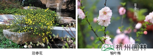 彩运网(中国游)官方网站