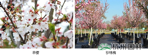 彩运网(中国游)官方网站